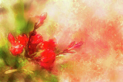 Abstract Flowers Digital Art - Abstract Red Flowers by Stevie Benintende