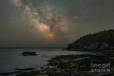 Sultry Flowers - Acadia National Park Milky Way  by Michael Ver Sprill