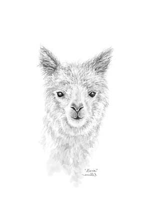 Recently Sold - Mammals Drawings - Alaria by Kristin Llamas