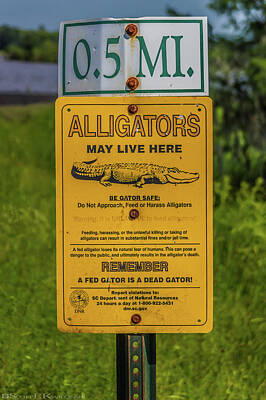Beers On Tap - Alligators May Live Here by Scott Kwiecinski