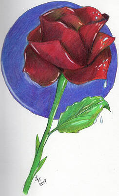 Roses Drawings - Almost Black Rose by Loretta Nash