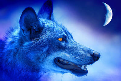 Woodland Animals - Alpha Wolf by Mal Bray