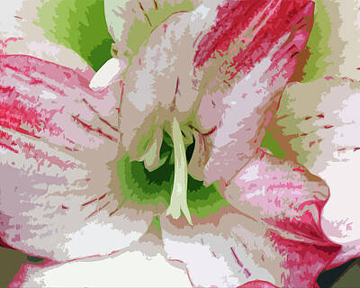 Modern Man Vintage Space Rights Managed Images - Amaryllis Center Royalty-Free Image by Allan  Hughes