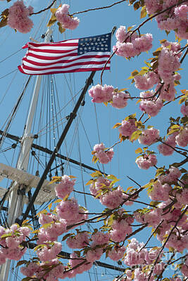 Landmarks Photos - American Flag with Cherry Blossoms by Carol Groenen