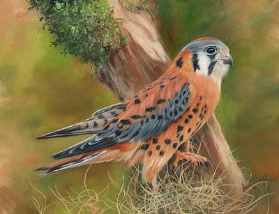 Landmarks Painting Rights Managed Images - American Kestrel Royalty-Free Image by David Stribbling