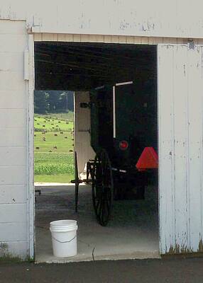 Beach House Shell Fish - Amish Buggy in Barn by Desiree Paquette