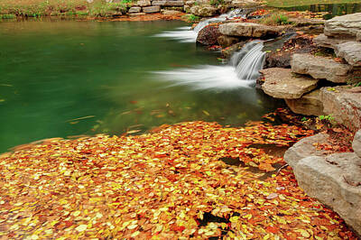Spiral Staircases - An Autumn Stream by Gregory Ballos