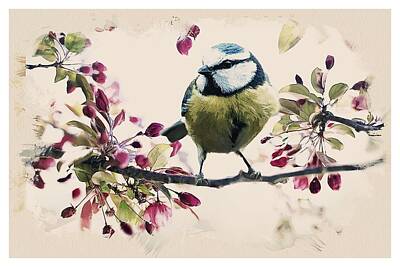 Animals Paintings - Animal Kingdom Series -Bird in Spring by Celestial Images