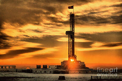 Birds Rights Managed Images - Another day of drilling for American oil Royalty-Free Image by Jeff Swan