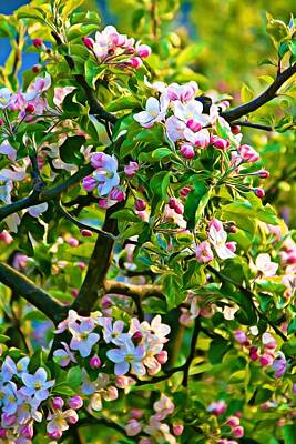 Patriotic Signs - Apple tree blossoms by Tatiana Travelways