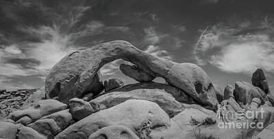 Cargo Boats - Arch Rock Panorama BW by Michael Ver Sprill