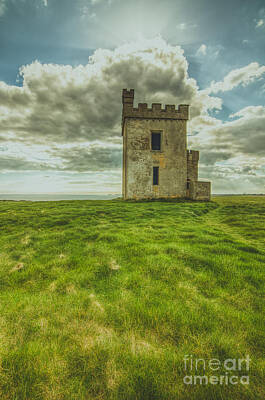 Landscape Royalty-Free and Rights-Managed Images - Ardmore lookout tower 2 by Marc Daly