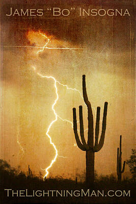 Recently Sold - James Bo Insogna Digital Art Rights Managed Images - Arizona Saguaro Lightning Strike Poster Print Royalty-Free Image by James BO Insogna