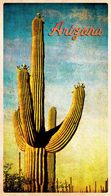 Kitchen Collection - Arizona Saguaro by Sandra Selle Rodriguez