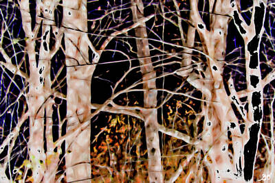 Pasta Al Dente - Arkansas Winter Trees by Gina O