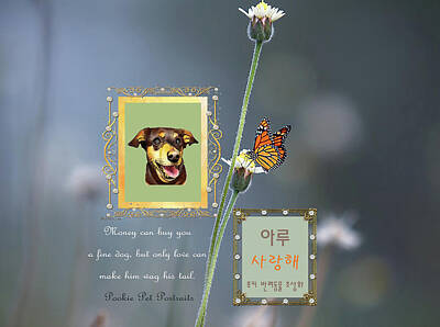 Recently Sold - Portraits Royalty-Free and Rights-Managed Images - Aroo by Pookie Pet Portraits