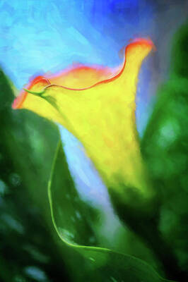 Lilies Digital Art - Art of a Calla Lily by Vicki Jauron