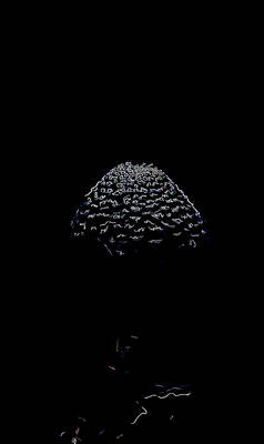 Chocolate Lover - Artistic Parasol mushroom 3 by Leif Sohlman