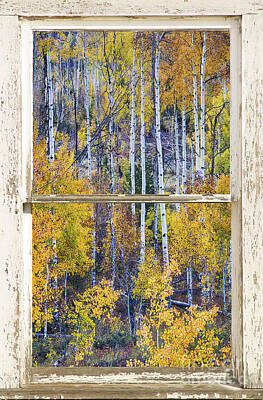 Best Sellers - James Bo Insogna Royalty-Free and Rights-Managed Images - Aspen Tree Magic Cottonwood Pass White farm House Window Art by James BO Insogna