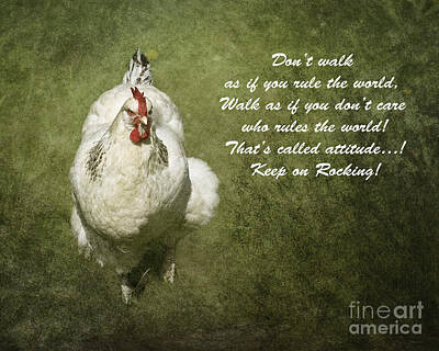 Target Eclectic Global Rights Managed Images - Attitude  Royalty-Free Image by Terri Waters
