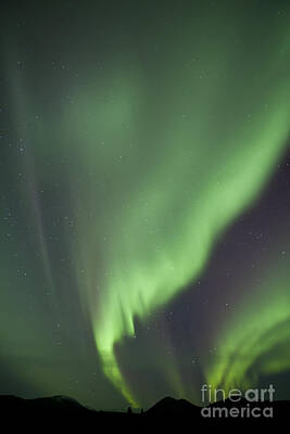 Mountain Royalty-Free and Rights-Managed Images - Aurora Borealis Over Mountain, Fish by Jonathan Tucker