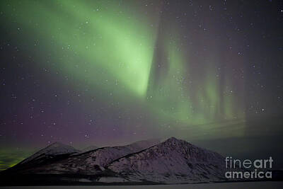 Mountain Royalty-Free and Rights-Managed Images - Aurora Borealis Over Mountain Range by Jonathan Tucker