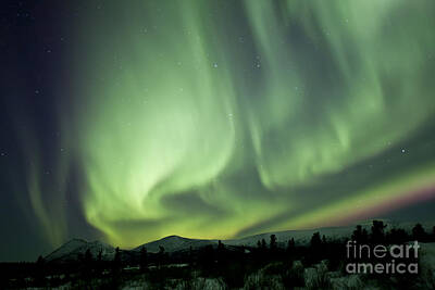 Mountain Royalty-Free and Rights-Managed Images - Aurora Borealis Over Mountain, Yukon by Jonathan Tucker
