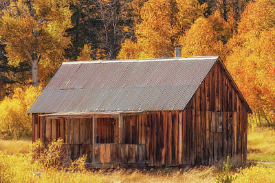 Womens Empowerment Rights Managed Images - Autumn at the Old Cabin Royalty-Free Image by Marc Crumpler