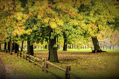 Randall Nyhof Photo Royalty Free Images - Autumn City Park Scene with Wood Fence Royalty-Free Image by Randall Nyhof