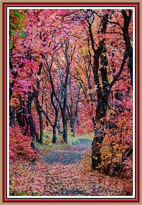 Modern Abstraction Pandagunda - Autumn Forest Path L B With Decorative Ornate Printed Frame. by Gert J Rheeders
