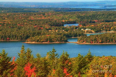 Scary Photographs - Autumn in Acadia by Elizabeth Dow