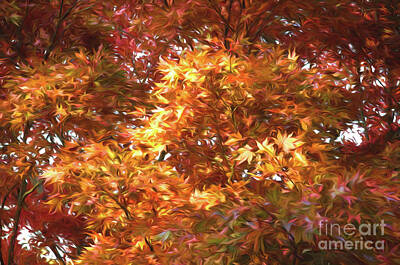 Kim Fearheiley Photography Royalty Free Images - Autumn Leaves Painted Royalty-Free Image by Judy Wolinsky