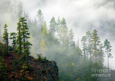 Shaken Or Stirred Royalty Free Images - Autumn Morning Fog Royalty-Free Image by Michael Dawson