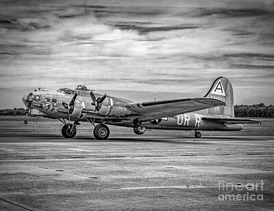 Bird Photography Royalty Free Images - B-17 on the Runway Royalty-Free Image by Nick Zelinsky Jr