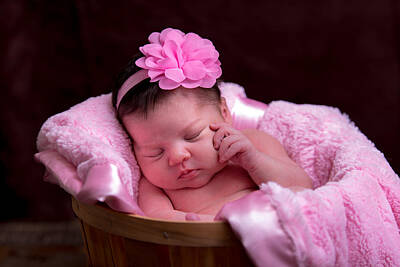 University Icons Rights Managed Images - Baby in Basket  Royalty-Free Image by William Fovall