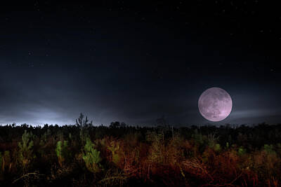 Travel Pics Rights Managed Images - Backwoods Moon Royalty-Free Image by Mark Andrew Thomas
