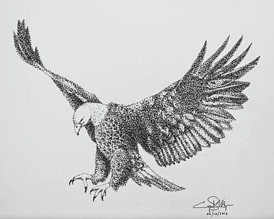 Landmarks Drawings - Bald Eagle by Cyril Maza