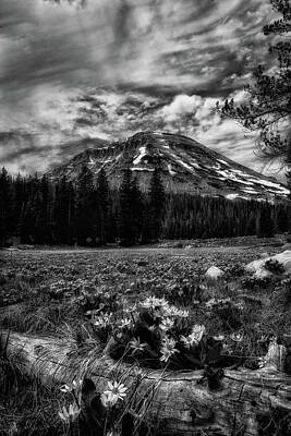 Space Photographs Of The Universe Royalty Free Images - Bald Mountains and a Field of flowers BW Royalty-Free Image by Mitch Johanson