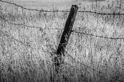 The Female Body Royalty Free Images - Barb Wire Fence in Infrared Blackand White Royalty-Free Image by Randall Nyhof