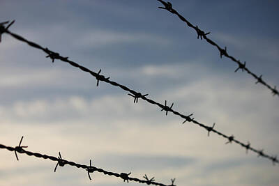 World War Two Production Posters Royalty Free Images - Barbed Wire Royalty-Free Image by Robby Green