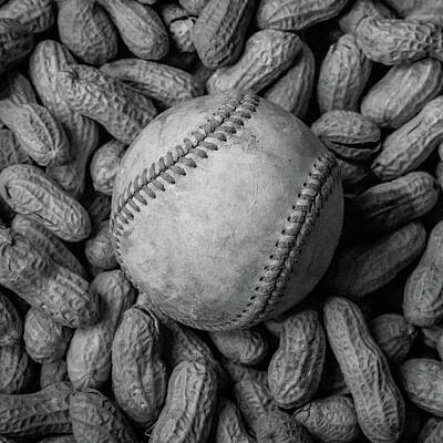 Baseball Photos - Baseball and Peanuts Black and White Square  by Terry DeLuco