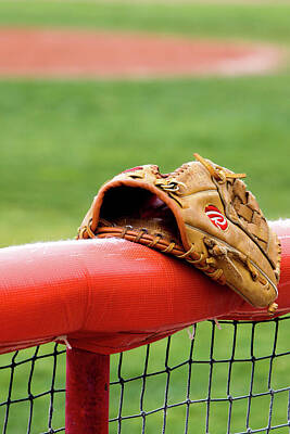 Rose - Baseball Glove on Infield Fence by SR Green