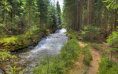 Laundry Room Signs - Bavarian Forest Stream by Sean Allen