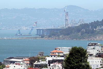 Animal Surreal - Bay Bridge Construction San Francisco by Henrik Lehnerer