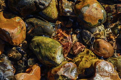 Albert Bierstadt - Beach Stones under the water by Paul Cummings