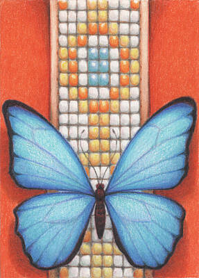 Animals Drawings - Beaded Morpho by Amy S Turner