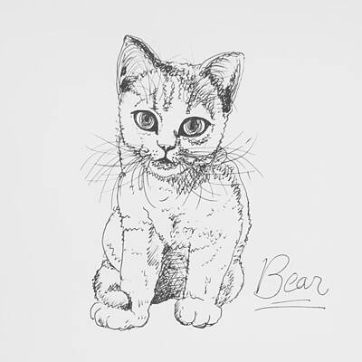 Best Sellers - Portraits Drawings - Bear by Pookie Pet Portraits