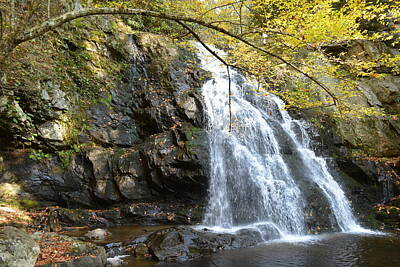 Anne Geddes - Beautiful Rockfaced Waterfall by Patricia Twardzik