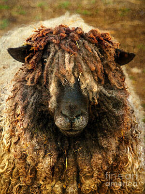 Recently Sold - Portraits Photos - Because Ewe Are Worth It by Linsey Williams