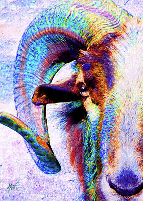 Portraits Mixed Media - BigHorn Sheep Portrait by Michele Avanti